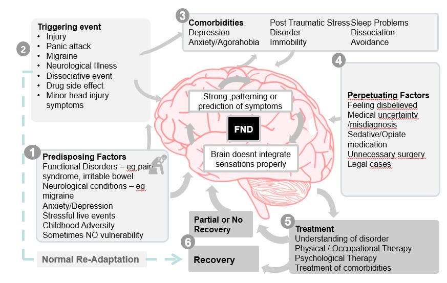 why-has-it-happened-functional-neurological-disorder-fnd